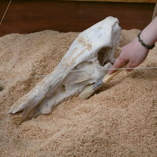 Festival Archéologie et Artisanat Maxent - 22 avril 2018 - photo A. Leroux (3) - réduite