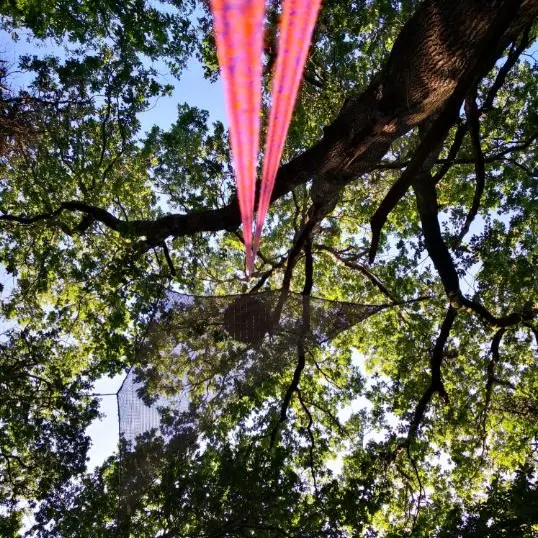 tête dans l'air