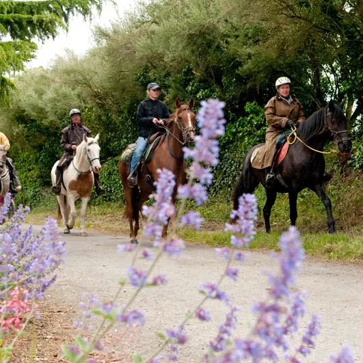 Centre équestre et poney club de Hac à Saint-Gondran