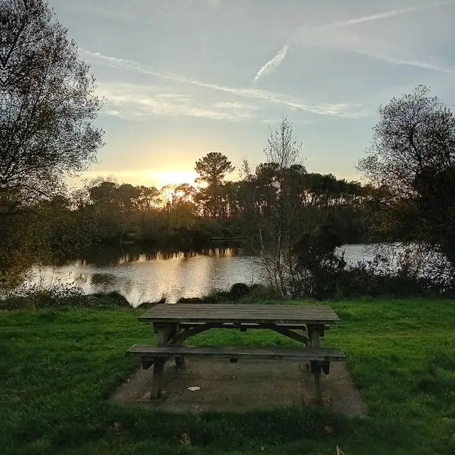 Aire de pique-nique Trégu