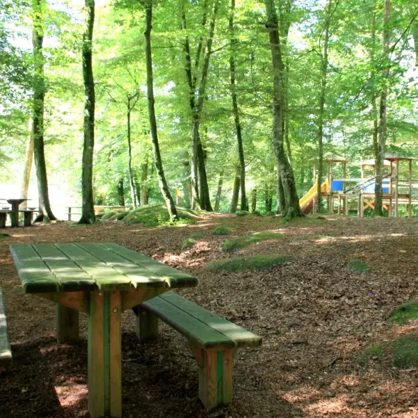 Aire de pique-nique en forêt de Villecartier