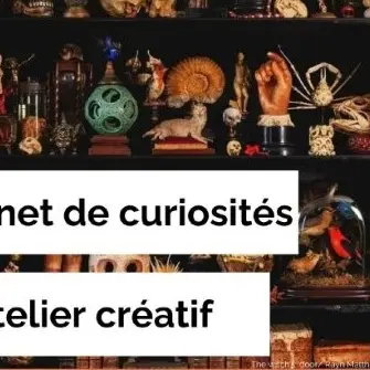 Atelier curiosités