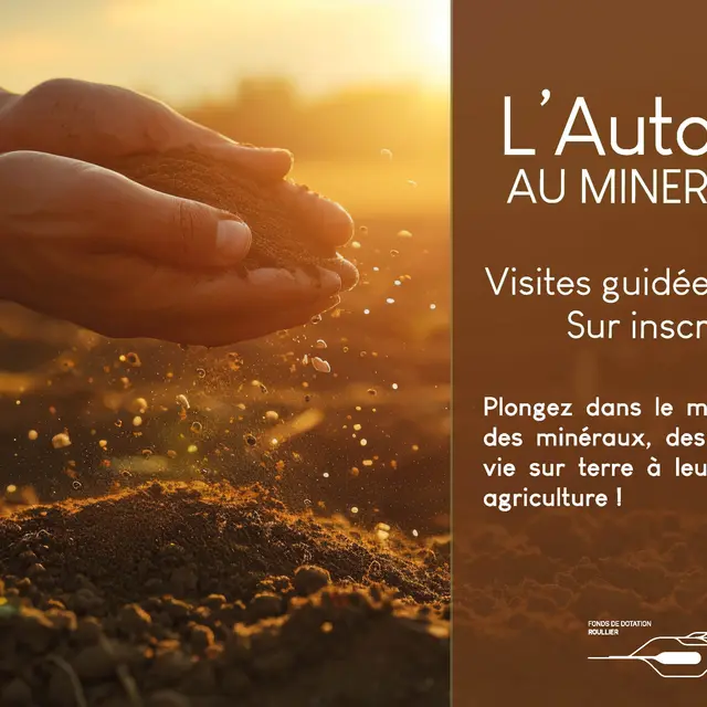L'automne au Minerallium