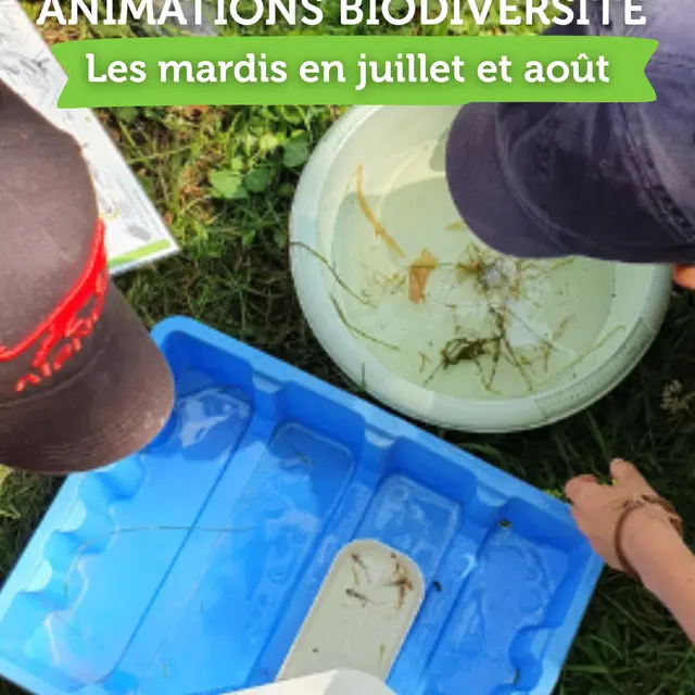 Animation biodiversité à La Balade du Père Nicolas
