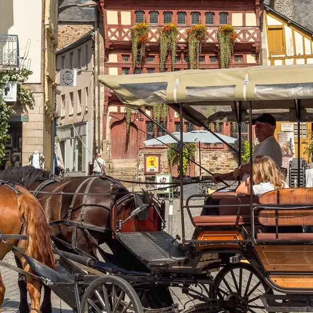 Balade en calèche Lamballe ©OTCELA