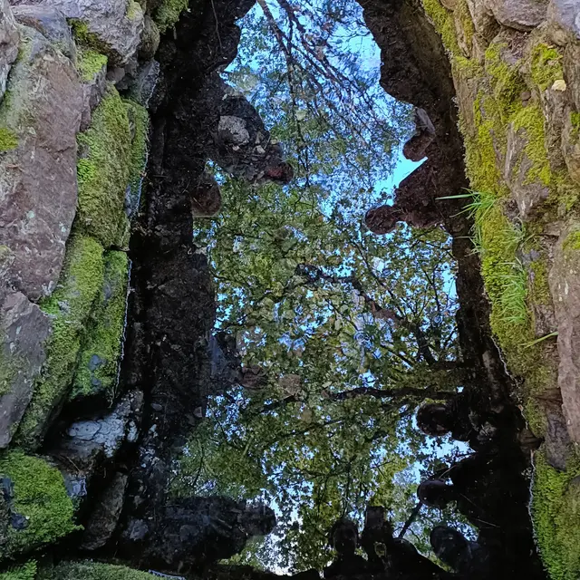 Barenton aux Portes de l'Autre Monde