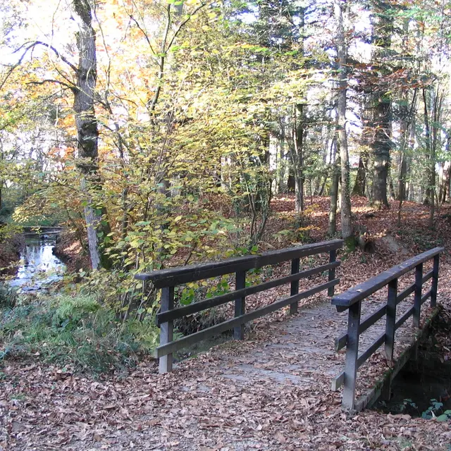 Autour du Lac Tranquille