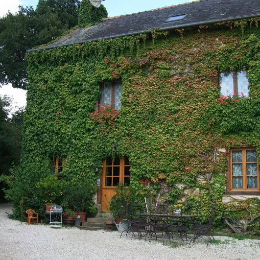 Monsieur et Madame David