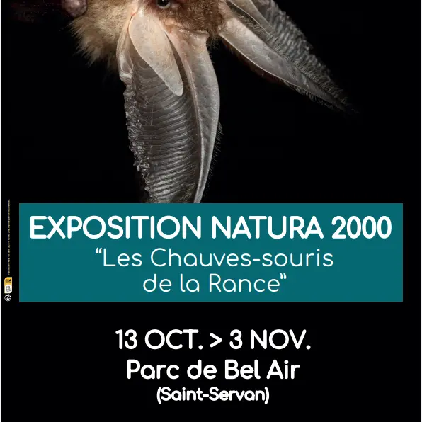 Exposition
