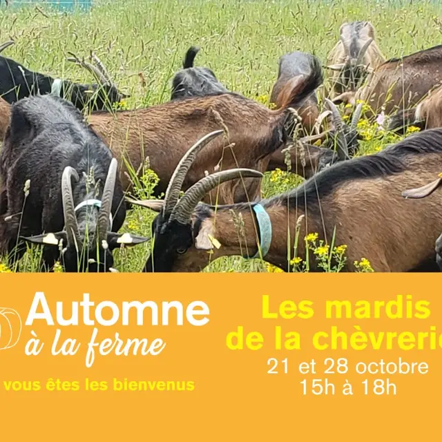 Automne à la ferme