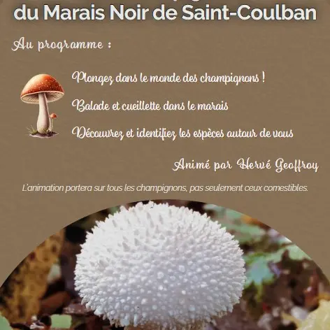 Capture d’écran 2025-10-29 140748