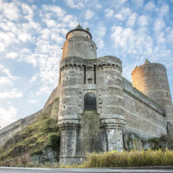 Chateau de Fougeres-vue remparts-®Lionel Le Saux 600px