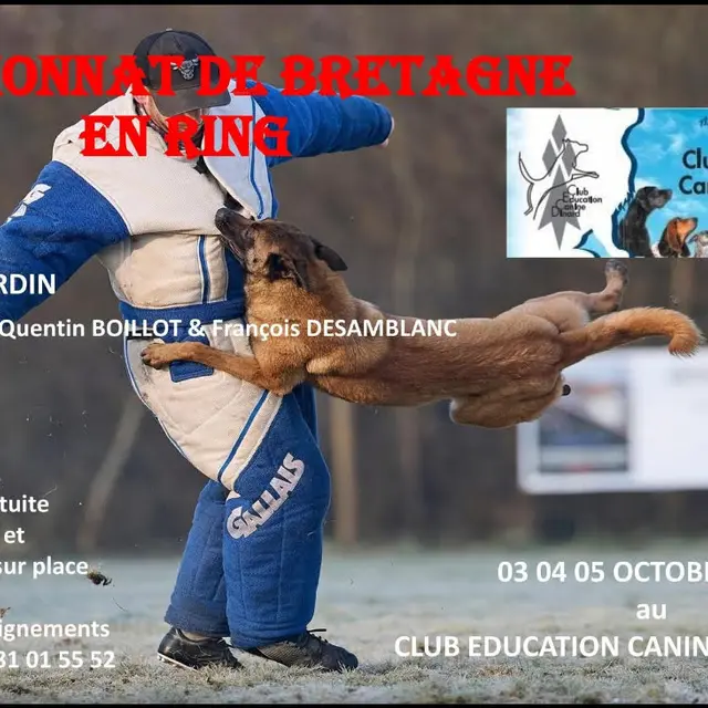 Championnat Bretagne ring