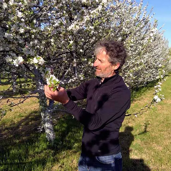 Cidre-Tropee