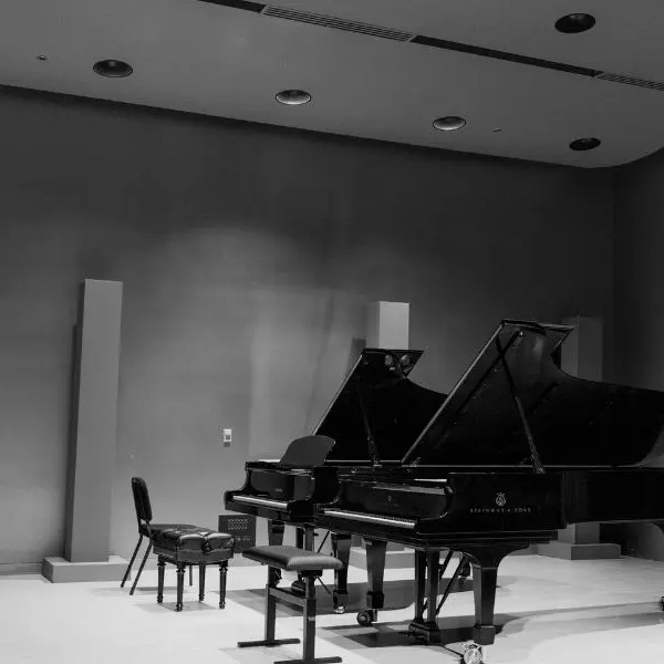 Concert piano