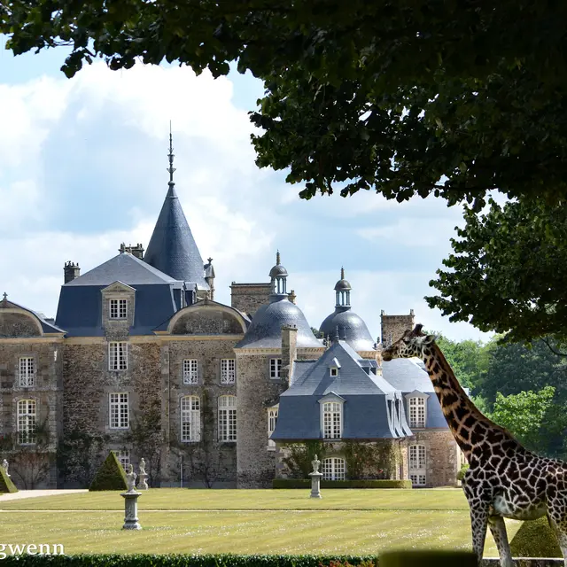 Château et Parc zoologique de la Bourbansais - Pleugueneuc