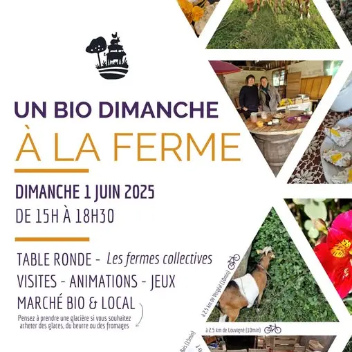 Dimanche à la ferme