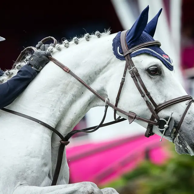 Dinard Émeraude Équitation
