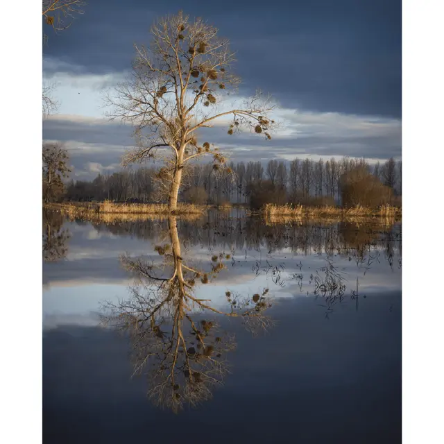 Exposition-Arbre-spasm-Tour-Bidouane-©-Bertrand-Dorel-scaled