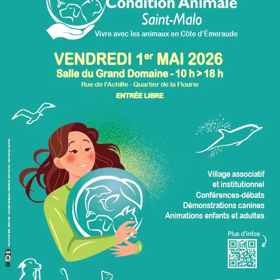 Forum condition animale