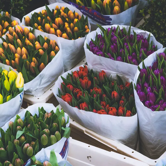 Fleurs©anastasia-zhenina_unsplash