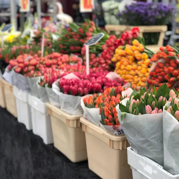 Fleurs©daniel-spilka_unsplash