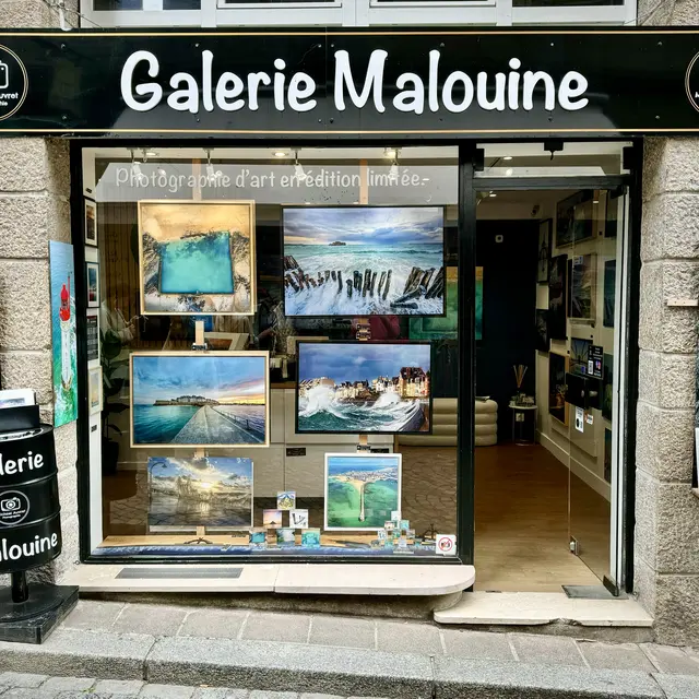 GALERIE copie