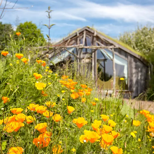 La Belle verte Les ecolodges à Saint-M'Hervé