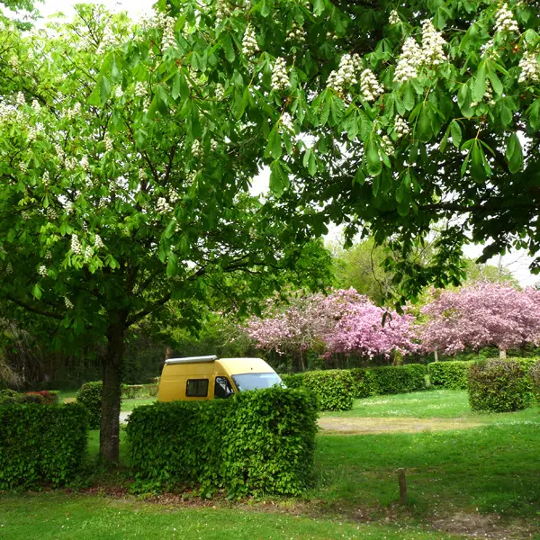 Camping le Vieux Chatel à Combourg