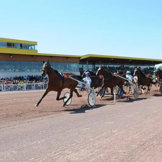Hippodrome de Maure de Bretagne