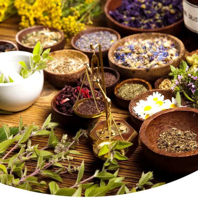 Affiche PLANTES MEDICINALES - 1