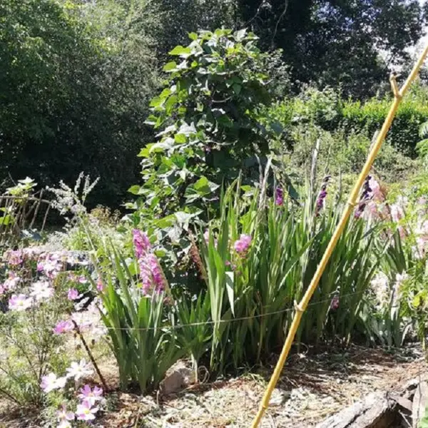Jardin Sophie Milbeau