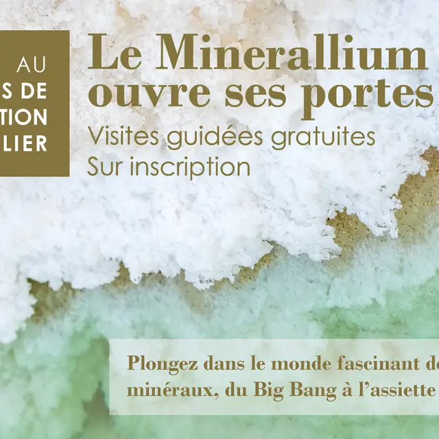 Ouverture du Minerallium