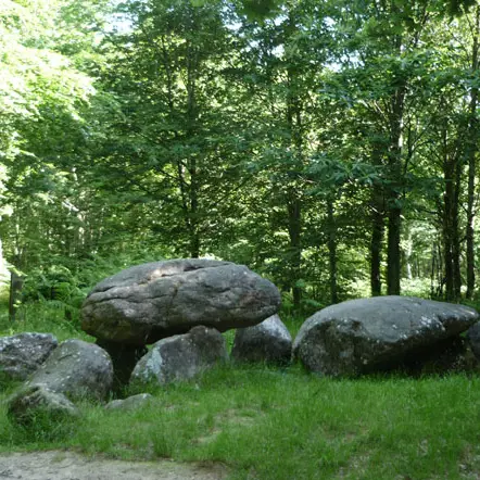 La Forêt de Fougères