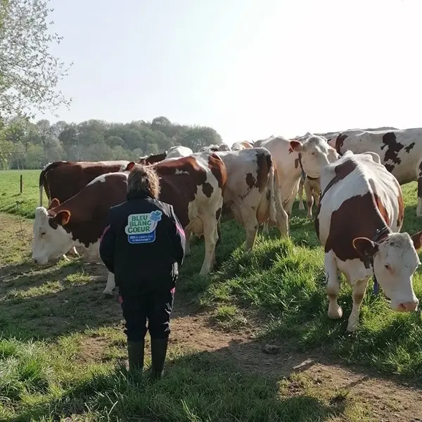 La ferme lait Gaillardises