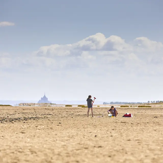 La_greve_en_Baie_du_Mont-Saint-Michel_-_Cherrueix-Alexandre_Lamoureux-14127