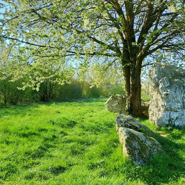 Lampouy