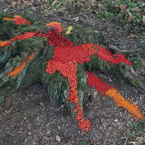 Land art
