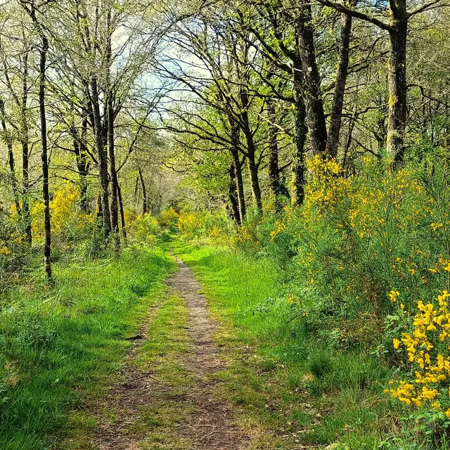 Le Sentier des Fées - Crédit KB