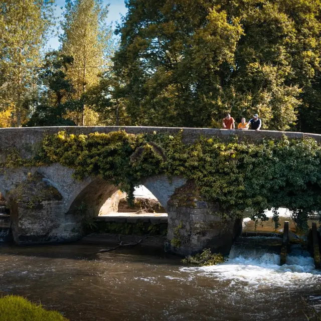 Le Vieux Pont sur le Couesnon