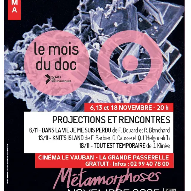 Le mois du doc novembre