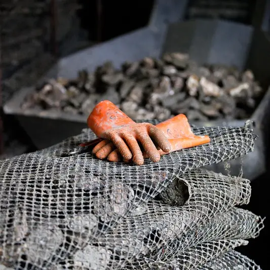 Loisirs-Ferme Marine-Cancale