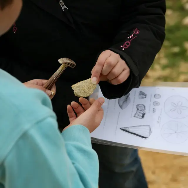 Maison-des-faluns-Trefumel-Dinan-Agglomeration--2-