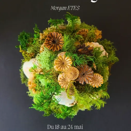 Morgan ETES le monde végétal