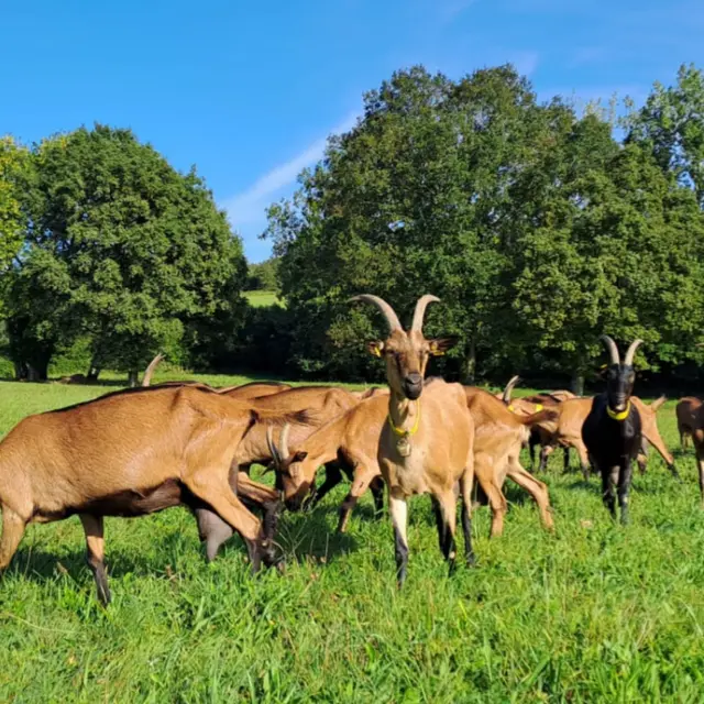 La ferme d'Hermeillon