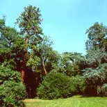 PCUBRE0351000069.jpg