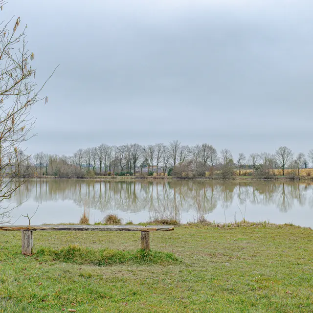 PIPRIAC - Étang des 4 vents_Bauthamy Madoline (4)