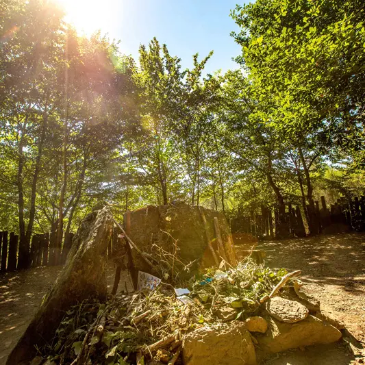 Tombeau de Merlin forêt de Brocéliande