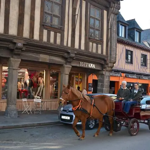 Pas, trot,vite..