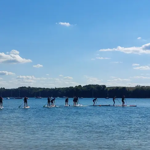 Stand-up paddle